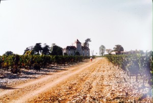 Haute Serre chateau and vineyard