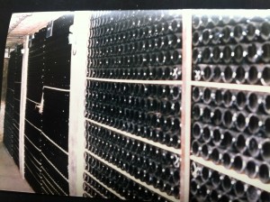 Reg's Wine Blog photo Hugel 12