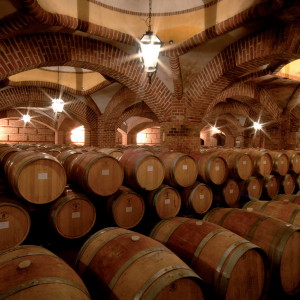 Reg's Wine Blog - photo 38-8