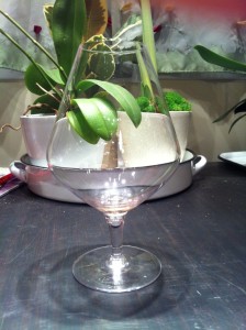 Reg's Wine Blog - photo 42.18