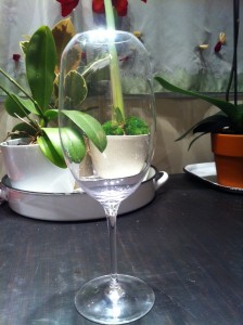 Reg's Wine Blog - photo 42.19